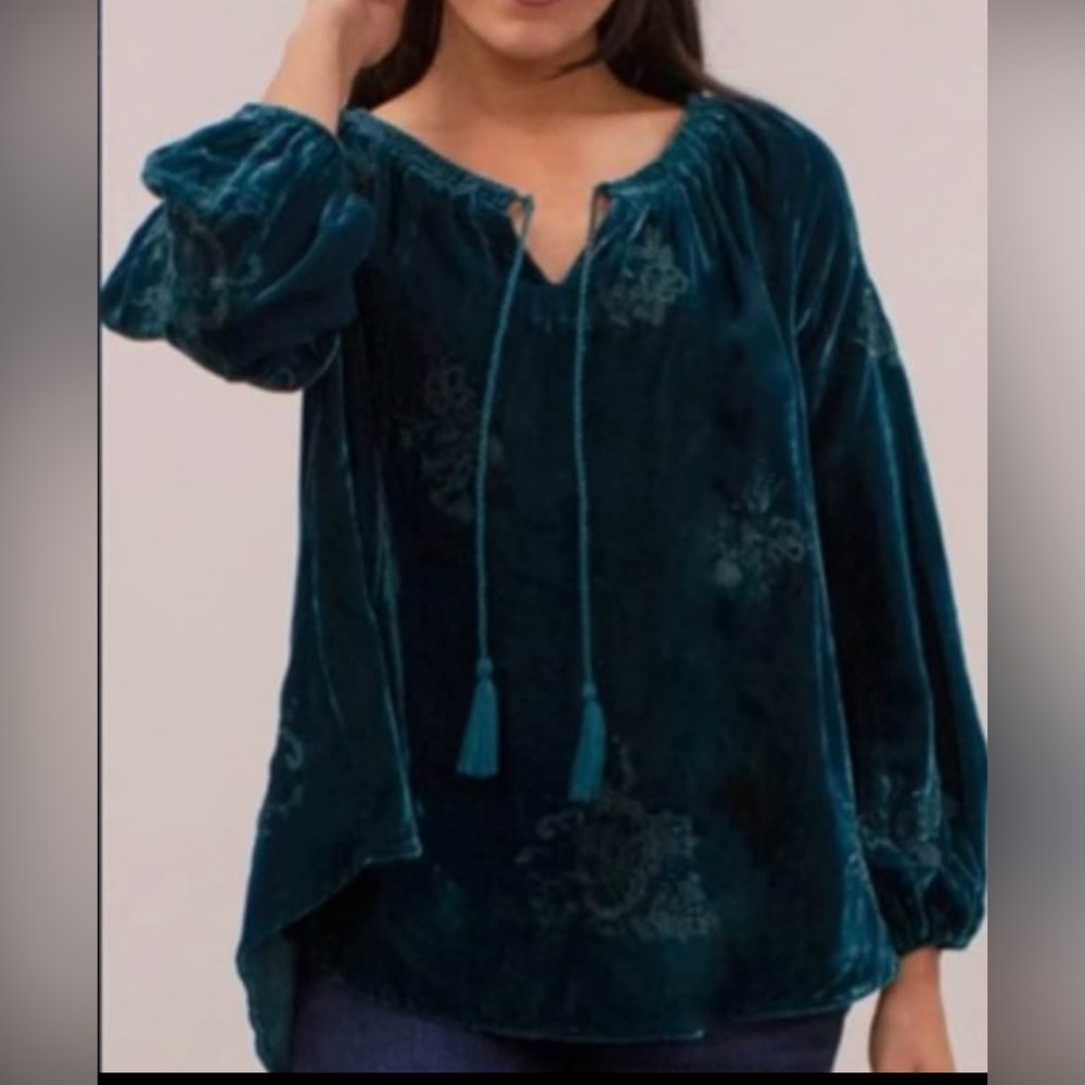 NWT Karyn Seo embroidered velvet top
